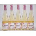5本セット(果実の泡シードル 北海道梅スパークリング(やや甘口)) 500ml×5本