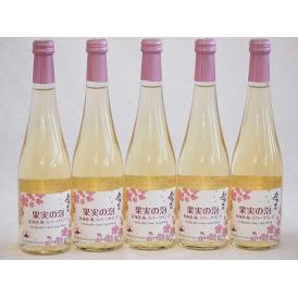 5本セット(果実の泡シードル 北海道梅スパークリング(やや甘口)) 500ml×5本