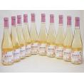 10本セット(果実の泡シードル 北海道梅スパークリング(やや甘口)) 500ml×10本