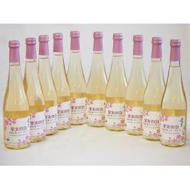 10本セット(果実の泡シードル 北海道梅スパークリング(やや甘口)) 500ml×10本