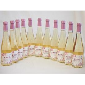 11本セット(果実の泡シードル 北海道梅スパークリング(やや甘口)) 500ml×11本