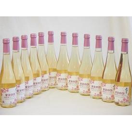 12本セット(果実の泡シードル 北海道梅スパークリング(やや甘口)) 500ml×12本