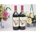 2本セット(酸化防止剤無添加 おいしい甘口 赤わいん) 720ml×2本