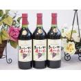 3本セット(酸化防止剤無添加 おいしい甘口 赤わいん) 720ml×3本
