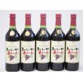 5本セット(酸化防止剤無添加 おいしい甘口 赤わいん) 720ml×5本