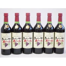 6本セット(酸化防止剤無添加 おいしい甘口 赤わいん) 720ml×6本