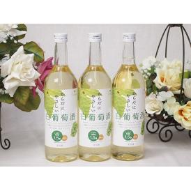 3本セット(からだにやさしい白葡萄酒 白ワインやや甘口(山梨県)) 720ml×3本