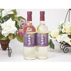 2本セット(山梨県産葡萄 デラウェア 辛口) 720ml×2本