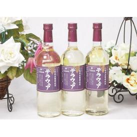 3本セット(山梨県産葡萄 デラウェア 辛口) 720ml×3本
