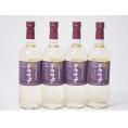 4本セット(山梨県産葡萄 デラウェア 辛口) 720ml×4本