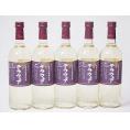 5本セット(山梨県産葡萄 デラウェア 辛口) 720ml×5本