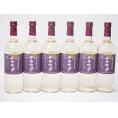 6本セット(山梨県産葡萄 デラウェア 辛口) 720ml×6本