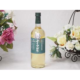 長野県産葡萄 ナイアガラ やや甘口(山梨県) 720ml×1本
