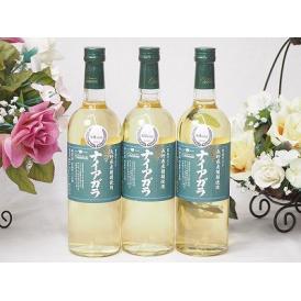 3本セット(長野県産葡萄 ナイアガラ やや甘口(山梨県)) 720ml×3本