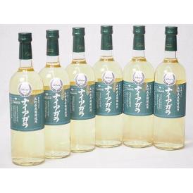 6本セット(長野県産葡萄 ナイアガラ やや甘口(山梨県)) 720ml×6本