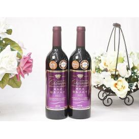 2本セット(長野県松本市樽熟成赤ワイン 松本メルロ フルボディ) 750ml×2本