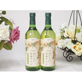 2本セット(国産葡萄100％おいしい日本ワイン白やや辛口(山梨県)) 720ml×2本