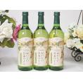 3本セット(国産葡萄100％おいしい日本ワイン白やや辛口(山梨県)) 720ml×3本