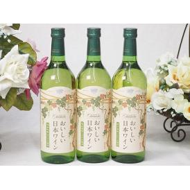 3本セット(国産葡萄100％おいしい日本ワイン白やや辛口(山梨県)) 720ml×3本