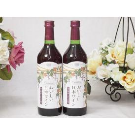 2本セット(国産葡萄100％おいしい日本ワイン赤中口ライト(山梨県)) 720ml×2本
