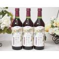 3本セット(国産葡萄100％おいしい日本ワイン赤中口ライト(山梨県)) 720ml×3本