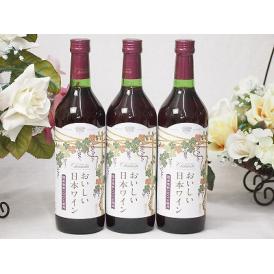 3本セット(国産葡萄100％おいしい日本ワイン赤中口ライト(山梨県)) 720ml×3本