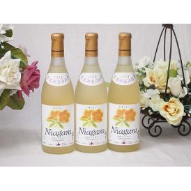 3本セット(おたる完熟ナイアガラ生葡萄酒 白ワイン甘口(北海道)) 720ml×3本
