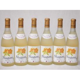 6本セット(おたる完熟ナイアガラ生葡萄酒 白ワイン甘口(北海道)) 720ml×6本