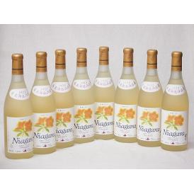 8本セット(おたる完熟ナイアガラ生葡萄酒 白ワイン甘口(北海道)) 720ml×8本
