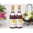 2本セット(おたるプレミアムキャンベル生葡萄酒 赤ワイン甘口(北海道)) 720ml×2本