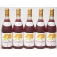 5本セット(おたるプレミアムキャンベル生葡萄酒 赤ワイン甘口(北海道)) 720ml×5本