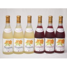 6本セット(おたる完熟ナイアガラ生葡萄酒 白ワイン甘口(北海道) おたるプレミアムキャンベル生葡萄酒