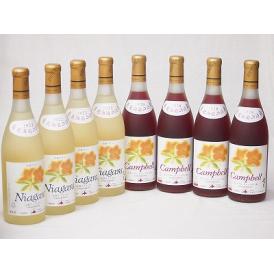 8本セット(おたる完熟ナイアガラ生葡萄酒 白ワイン甘口(北海道) おたるプレミアムキャンベル生葡萄酒