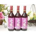 3本セット(おたる醸造キャンベルアーリ生葡萄酒 赤ワイン辛口(北海道)) 720ml×3本