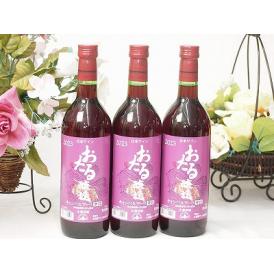 3本セット(おたる醸造キャンベルアーリ生葡萄酒 赤ワイン辛口(北海道)) 720ml×3本