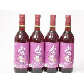 4本セット(おたる醸造キャンベルアーリ生葡萄酒 赤ワイン辛口(北海道)) 720ml×4本