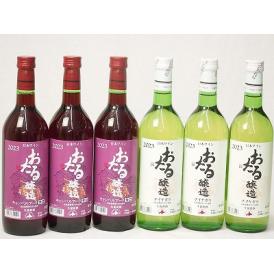 6本セット(おたる醸造キャンベルアーリ生葡萄酒 赤ワイン辛口(北海道) おたる醸造ナイアガラ生葡萄酒