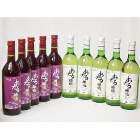 10本セット(おたる醸造キャンベルアーリ生葡萄酒 赤ワイン辛口(北海道) おたる醸造ナイアガラ生葡萄