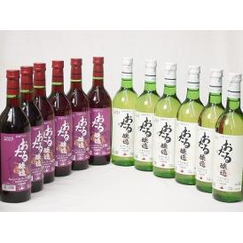 12本セット(おたる醸造キャンベルアーリ生葡萄酒 赤ワイン辛口(北海道) おたる醸造ナイアガラ生葡萄