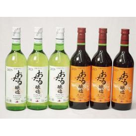 6本セット(おたる醸造ナイアガラ生葡萄酒 白ワインやや甘口(北海道) おたる醸造 生葡萄酒甘口赤ワイ
