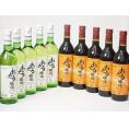 10本セット(おたる醸造ナイアガラ生葡萄酒 白ワインやや甘口(北海道) おたる醸造 生葡萄酒甘口赤ワ