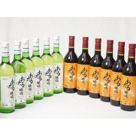 12本セット(おたる醸造ナイアガラ生葡萄酒 白ワインやや甘口(北海道) おたる醸造 生葡萄酒甘口赤ワ