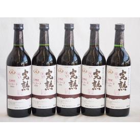 5本セット(信州産完熟コンコード 辛口赤ワイン ミディアム) 720ml×5本