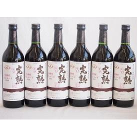 6本セット(信州産完熟コンコード 辛口赤ワイン ミディアム) 720ml×6本