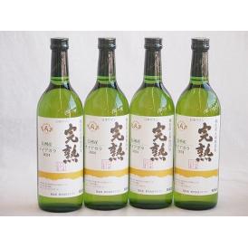 4本セット(信州産完熟ナイアガラやや甘口白ワイン) 720ml×4本
