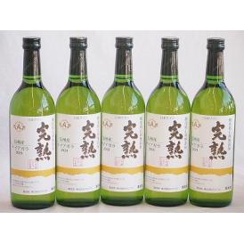5本セット(信州産完熟ナイアガラやや甘口白ワイン) 720ml×5本