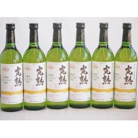 6本セット(信州産完熟ナイアガラやや甘口白ワイン) 720ml×6本