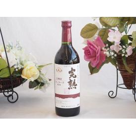 信州産完熟コンコード やや甘口赤ワイン ミディアム 720ml×1本
