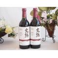 2本セット(信州産完熟コンコード やや甘口赤ワイン ミディアム) 720ml×2本