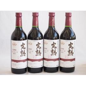 4本セット(信州産完熟コンコード やや甘口赤ワイン ミディアム) 720ml×4本
